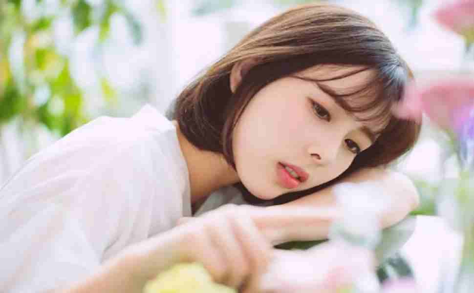 犯罪剧《法网追凶》